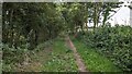 Bridleway at St Cross Farm in St. Cross, South Elmham