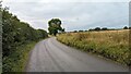Roger's Lane leading from Shotesham in Shotesham