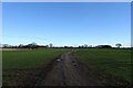 Track to Lime Field Farm in YO19 5ND