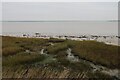 Saltmarsh in the Blackwater Estuary in Maldon East Ward