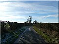 Rural lane in January in WV8 1QX