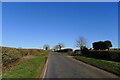 Bowden Road heading towards Thorpe Langton in Thorpe Langton