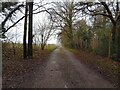 Footpath towards Bagnor Marsh in RG20 8AL