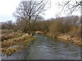 River Lambourn through Westbrook in RG20 8DP