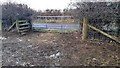 Field gate giving access to Longthwaite Road SW of Stubb Bridge in CA7 9LR