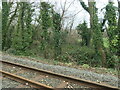 Olion tramffordd Nantlle / Remains of the Nantlle tramway [1] in LL54 7YF