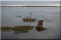 Spring tide near Tollesbury in CM9 8FN