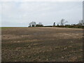 Stubble field at Clipston in Clipston