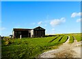 Barn and track on Dethick Common in DE4 5HY