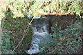 Headwater stream of Newmill Channel in TN17 4BH