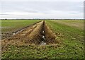 Land drain at Meering in Meering