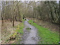 Footpath into Penn Wood in HP7 0QS