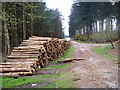 Cannock Chase, Slitting Mill in WS15 2UT