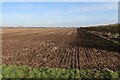 Field by Horseley Fen Drove in PE16 6XA