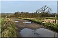 Puddles on the track, east of Postlebury Farm in BA11 4PE