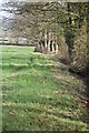 Field edge above Belle View Farm in BA11 5DW