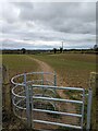 Metal Gate, Bournes Green in GL6 7AJ