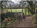 Stone Stile, Franch Lynch in GL6 7AJ