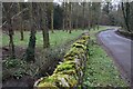 Moss-covered bridge over the Mells Stream in BA11 3QY