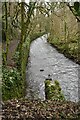 Mells Stream in the Wadbury Valley in BA11 3JR