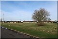 Grassy area by Queensway, Chatteris in PE16 6DJ