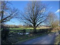 Country lane towards Abergwenlais in SA20 0ST