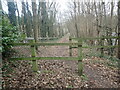 Footpath from Shepherd's Hill in RH1 3AE
