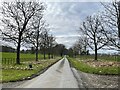 Long private driveway leading to Longden Manor in SY5 8AL