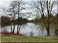 Large pond near Rookery Farm in IP12 2RR