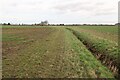 Public footpath at Colne Green in Cambridgeshire