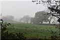 Misty downland scene in TN14 7QF