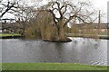 Pond on the green at Walberton in BN18 0BA