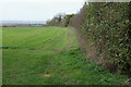 Field boundary above Slade Farm in GL56 0SJ