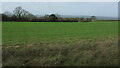 Grass field above Slade Farm in GL56 0SJ