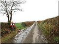 Heol yn agosau at groesffordd / Road approaches a crossroads in SA34 0HS