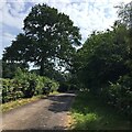 Private Road, Cefn Mably Park in CF14 0HY