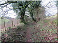 Llwybr ger Llanboidy / Path near Llanboidy in SA34 0EN