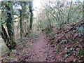 Llwybr i Felinfach / Path to Felinfach in SA34 0TL