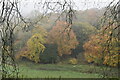 Autumn colours in a dry valley in TN16 2JA