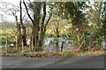 Pond by Horleigh Green Rd in TN20 6NE