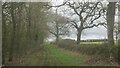 Bridleway below Arbury Hill in NN11 6LW