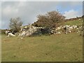 Rock outcrop, Pant Mari Flanders in CF32 0SN