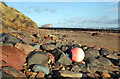 The shoreline at Scoughall Rocks in EH39 5PP