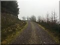 Forestry road near Dunbeg in PA37 1QL