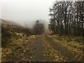 Forestry road near Pennyfuir in PA34 4QA