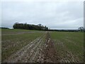 Crossing a field near Lapley in ST19 9JY