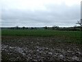 Field near Lapley with distant views in ST19 9JY