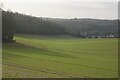 Field down to Marlow Bottom in SL7 3QE