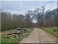 Stacked logs near Great Coppice in SN8 2PW