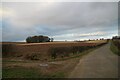 Chalky field and a worked-out chalk pit, Welton le Wold (2) in LN11 0SA